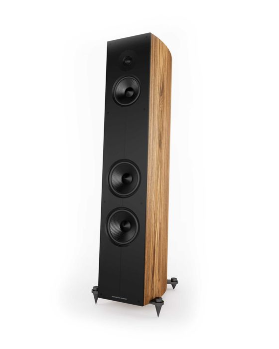 Acoustic Energy Corinium ANTRACYT GREY Kolumna podłogowa SKLEP FV