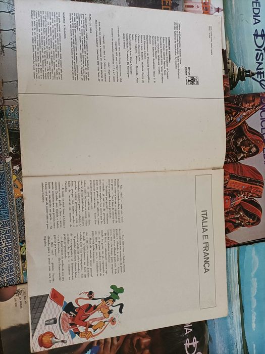 31 Fascículos Enciclopédia Disney, Cada