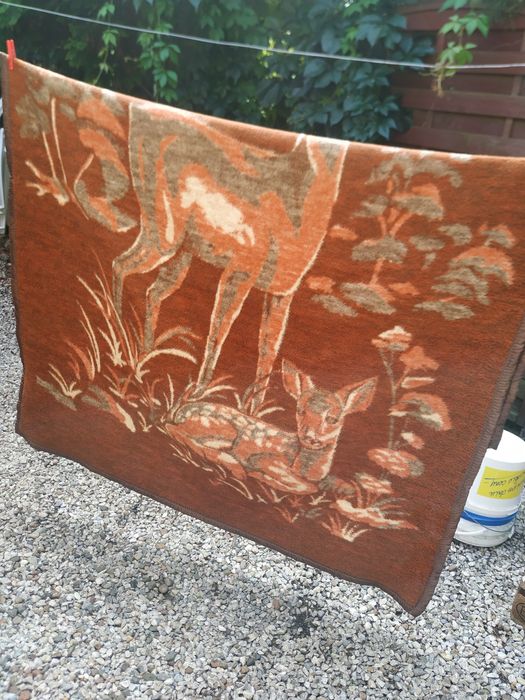 Koc  z jelonkami  200x150