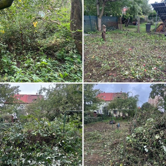 Koszenie trawy, usługi ogrodnicze