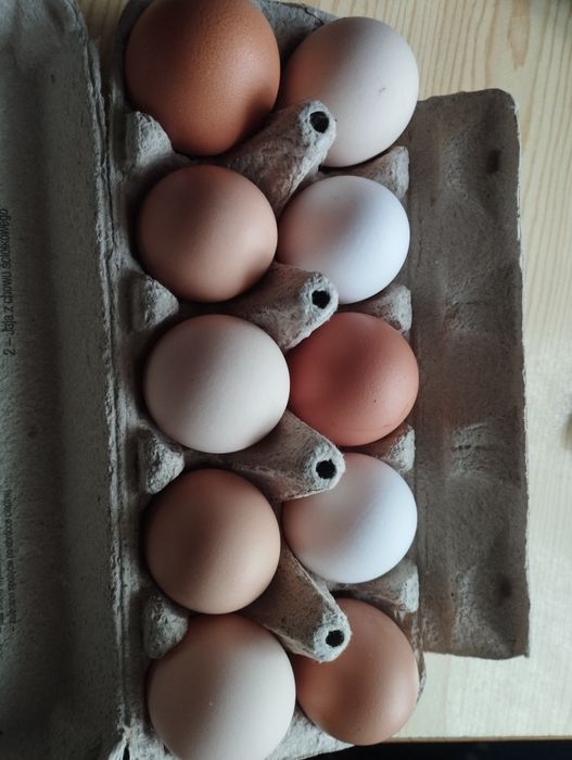 Jajka "wiejskie" kurze,lilipucie,kacze i czasami gęsie.Szczekociny;