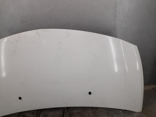Capot RENAULT Clio III (BR0/1, CR0/1)