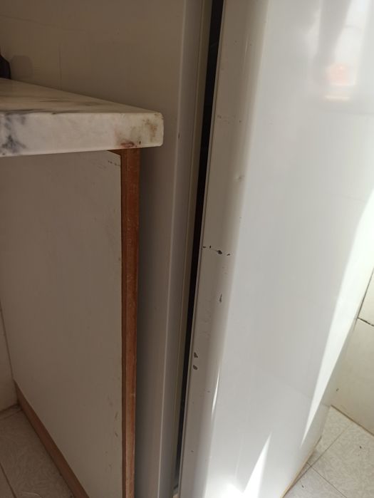 Esquentador Junkers e Frigorífico Kunft