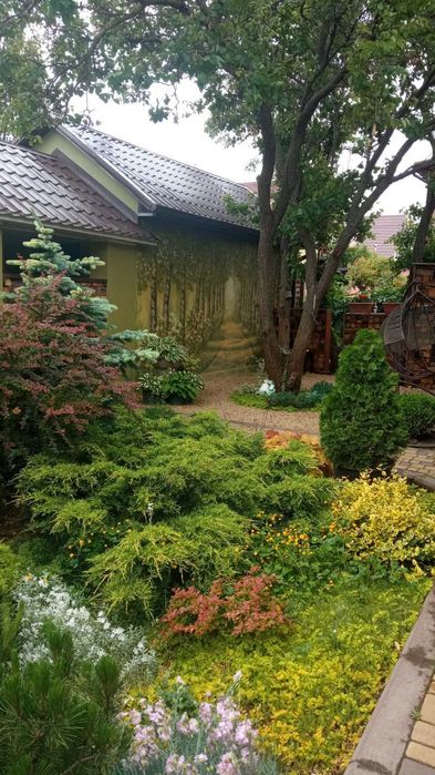 Дом по адресу ул. Деда Трофима (площадь 123 м²) - Atlanta.ua - фото 2