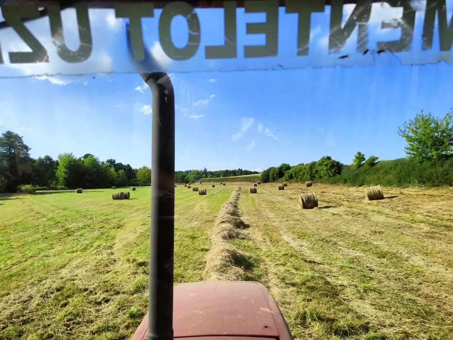 Siano 120x120 z 2025roku