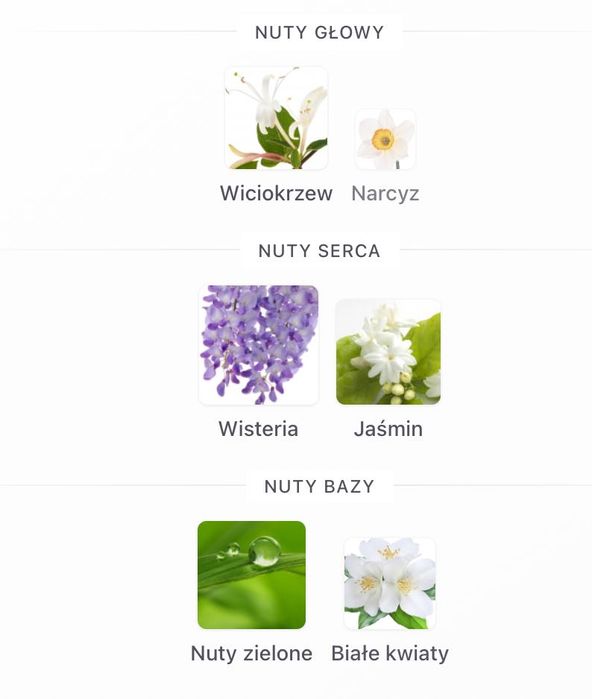 Diptyque Olène – limited edition (edt) 100 ml