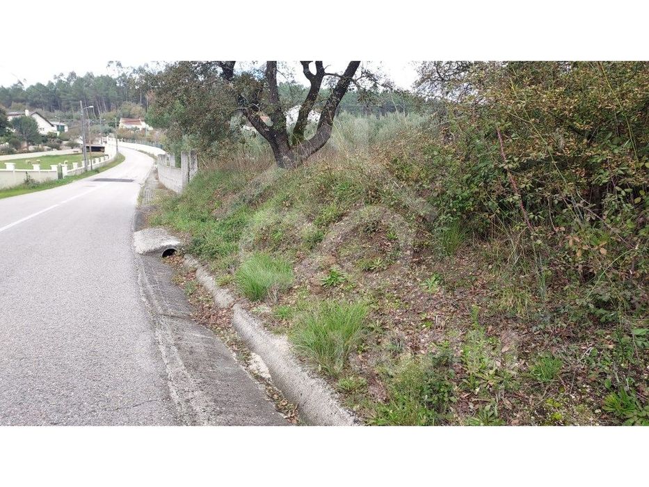 Terreno para Venda — Santiago E São Simão De Litém E Albergaria Dos Doze, Leiria