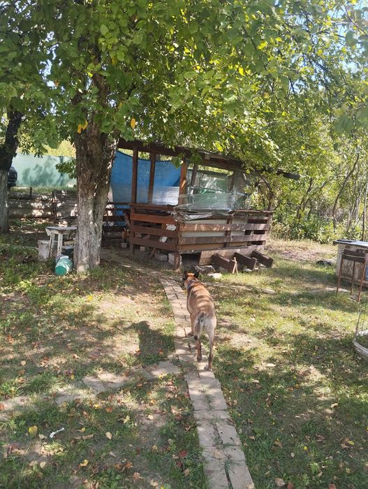 Дачний будиночок