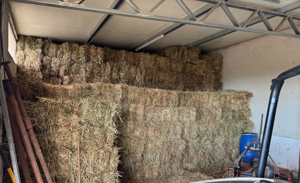 Fardos de palha de Aveia e ervilhaca