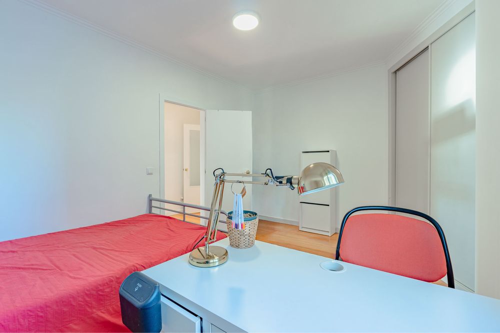 T2 Sao joao da madeira