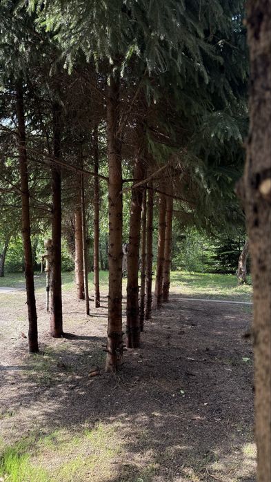 Dzialka ROD Mokotów/Warszawa 600m2
