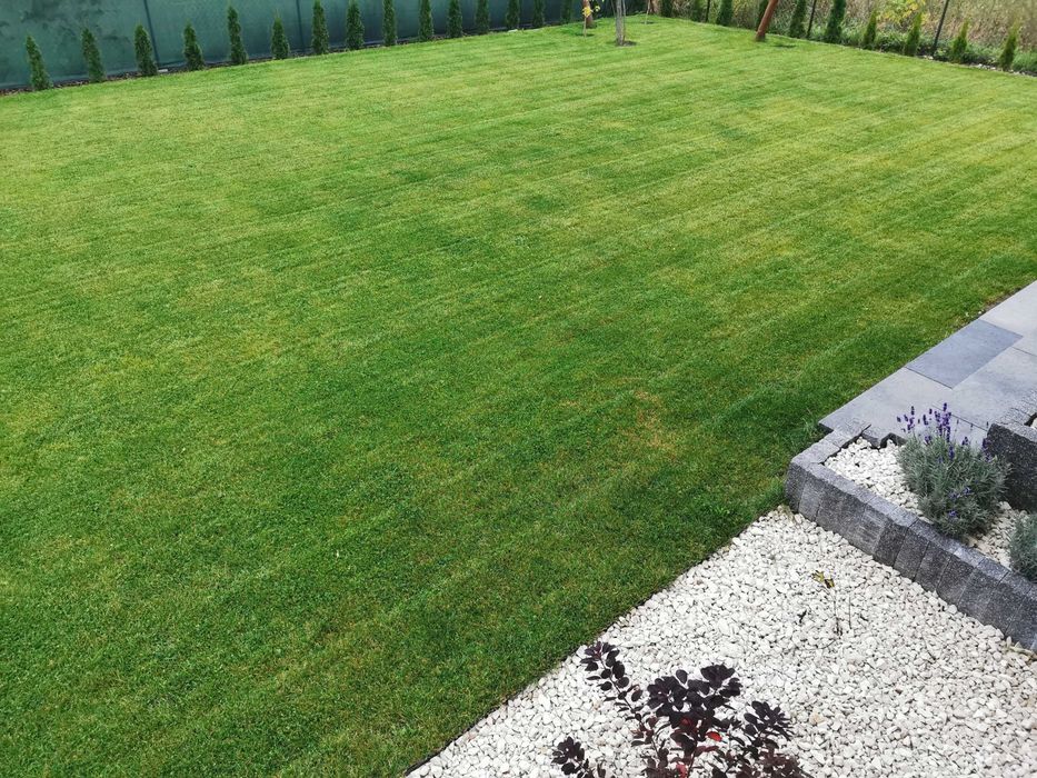 Czarnoziem, Ziemia Ogrodowa Przesiewana, Trawa, Legionowo