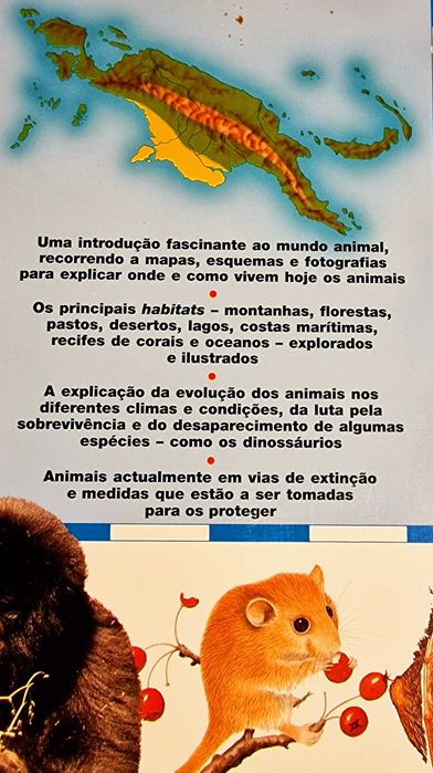 Atlas Juvenil dos animais - David Lambert,  Livro Juvenil, didático
