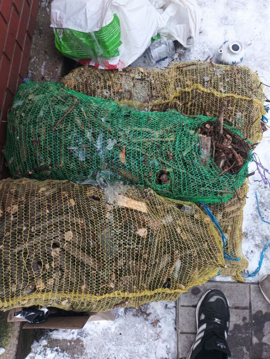 Дрова продаю Одесса цена 50за мешок