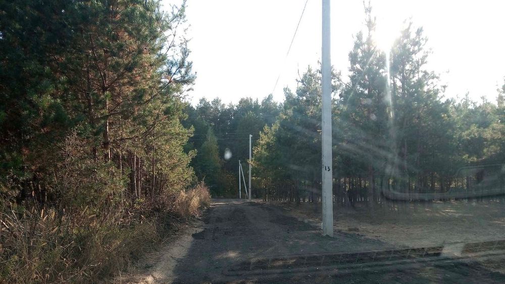 Продам земельну ділянку біля лісу