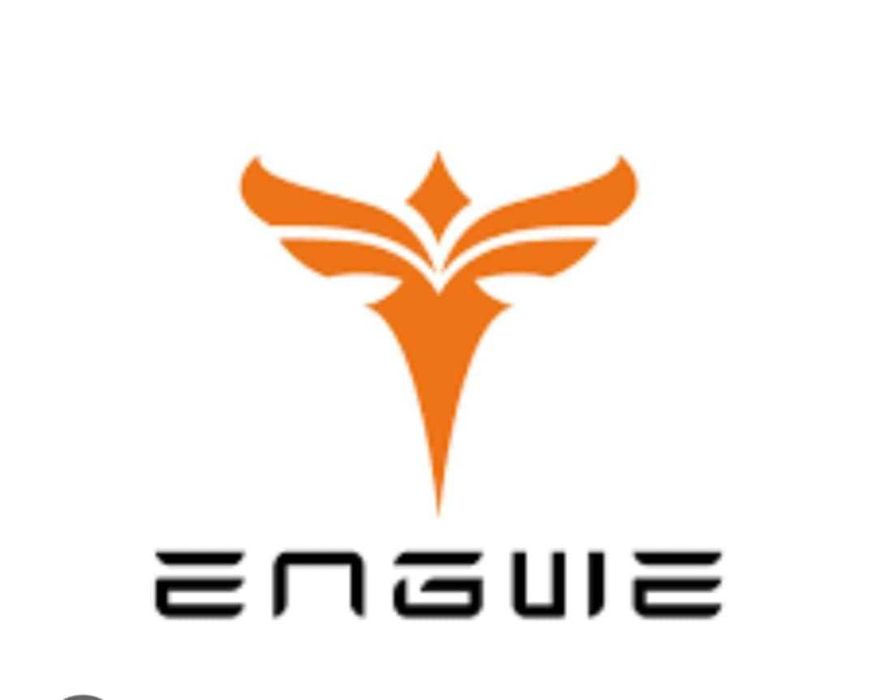 Rower elektryczny Engwe EP-2 Boost szary 250 W