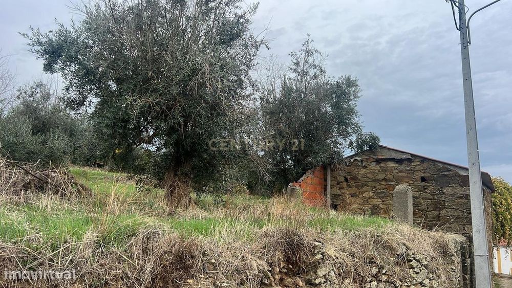 Ruína com terreno e poço no centro histórico de Proença-a-Nova || Vist