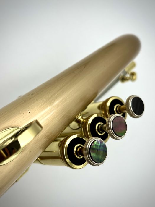 Flugelhorn CarolBrass CFL 6200 GSS