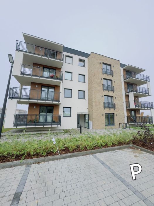 Kawalerka do wynajecia