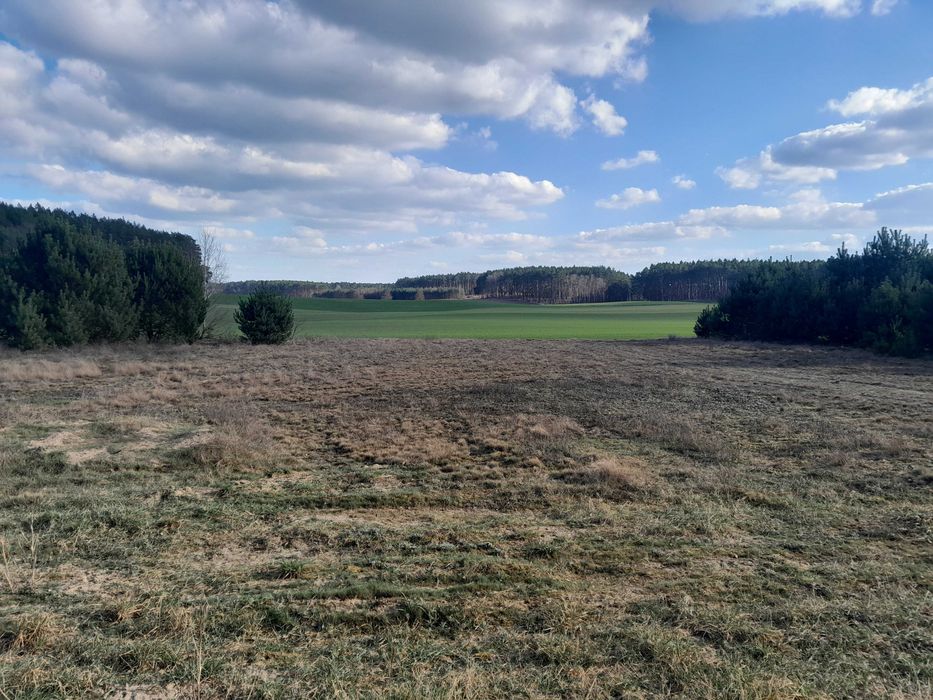REZERWACJA Piękna Działka Budowlana Mpzp, Stoki . gm Pszczew - Widok 5