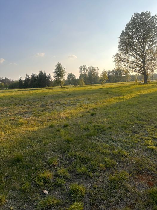 Działka cicha okolica 30 ar - Widok 2
