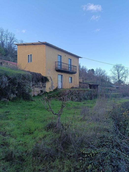 Quinta Pinhel 1 hectare