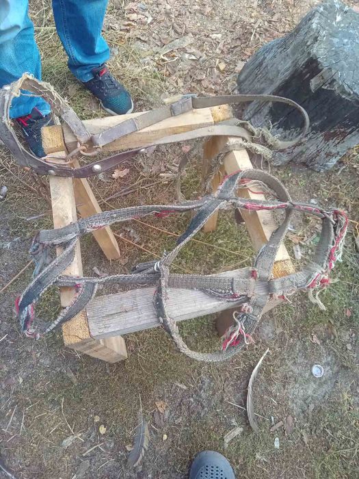 Хамут для коня , ліци . Усе комплектом