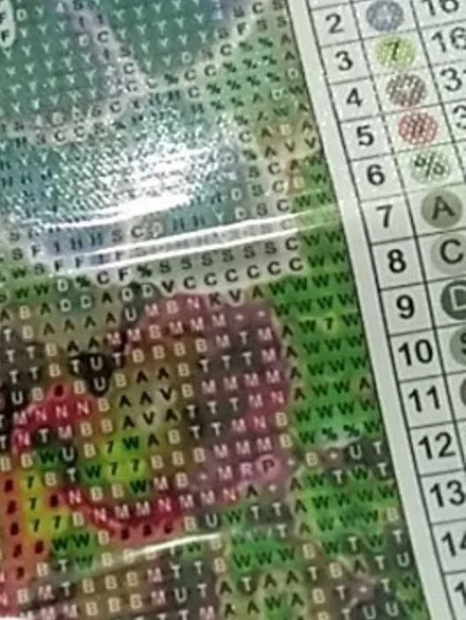 Kit completo Diamond painting Raposa com flores