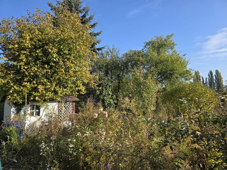 Działka ROD PLON – Wrocław, ul. Góralska | 339 m² - Więcej