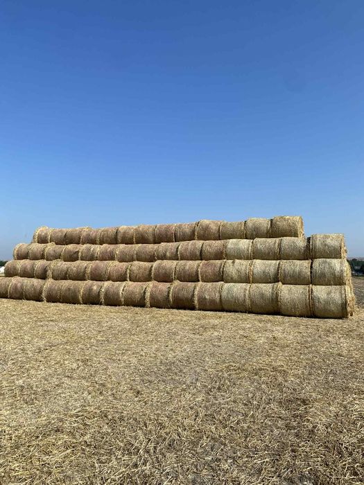 Słoma pszenna tego rocznia 2025