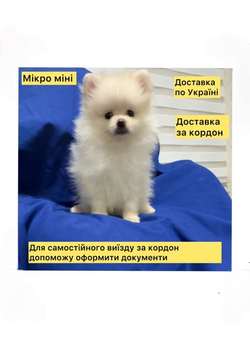 Чарівна Міні крихітка ! Вам сумно ?