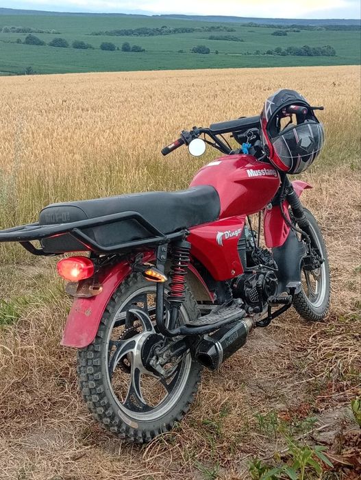 Mustang Dingo MT-125