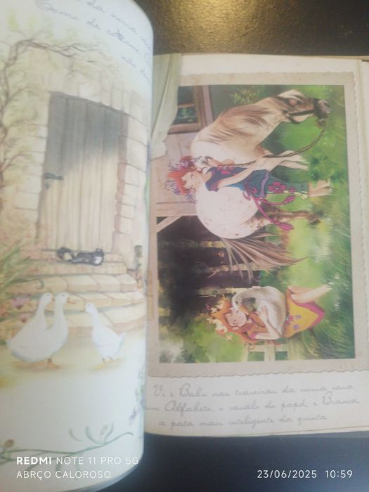 Livros juvenis - Aventura e mistério