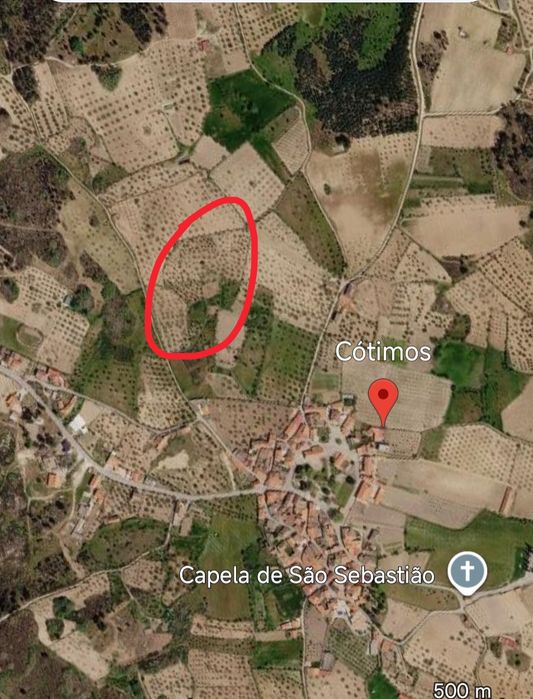 Terrenos com Olival em Produção (150L Azeite/Ano) e Água Abundante – Cótimos, Trancoso