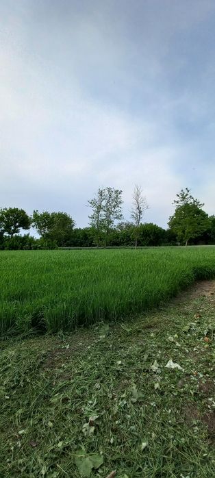 Будинок з ділянкою 60 соток