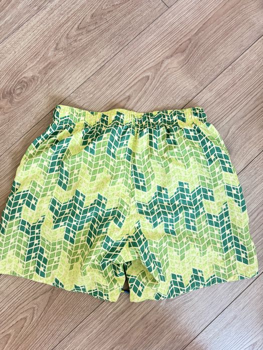 Шорти  чоловічі для плавання Arena p.S