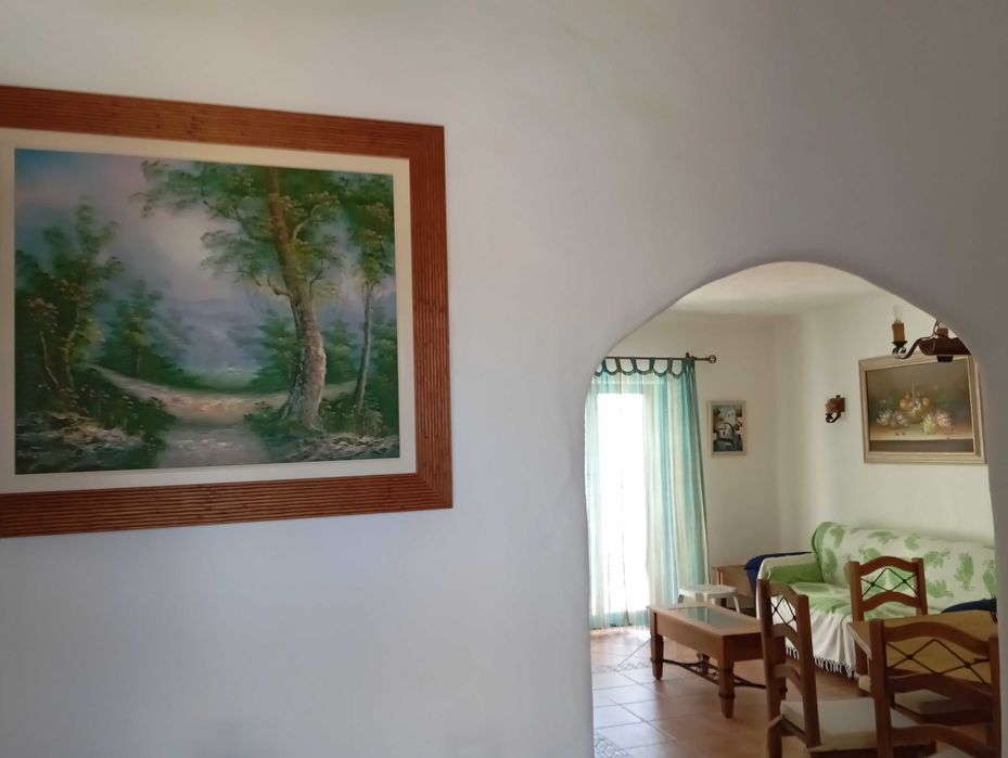 T1+1 Armação de Pera