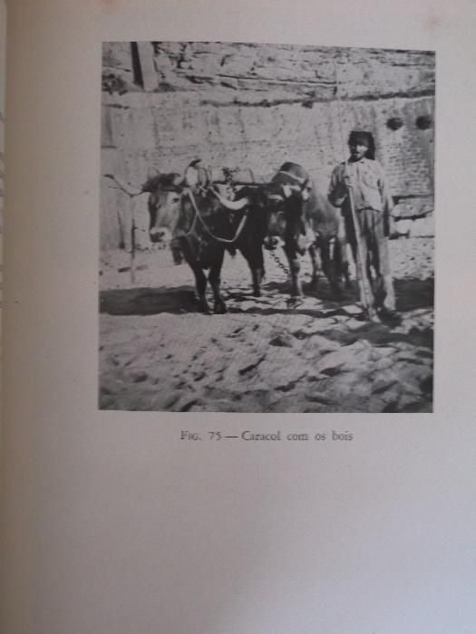 A linguagem dos pescadores da Ericeira Joana Lopes Alves