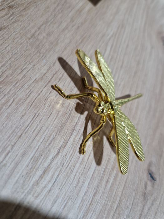 Libelinha dourada.  Nova