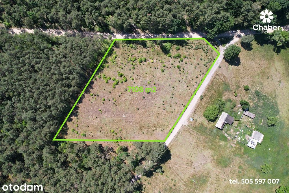 3 działki przy lesie.  Pow. 2162 m2, 2752 m2, 2188 m2