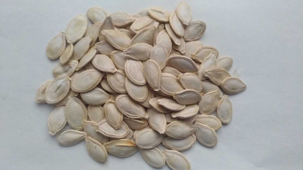 Свіже, якісне насіння овочів, пряних, квітів на вагу,  опт, роздріб.