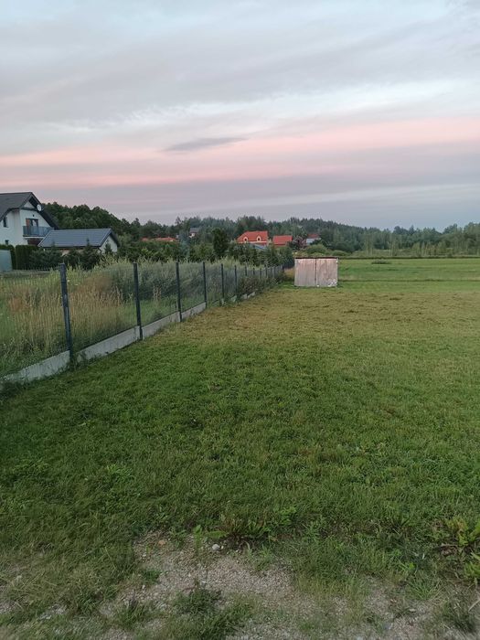 Zdjęcie 2