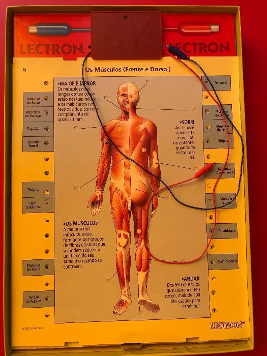 2 Jogos Electron - Traffic NOVO C/ PELÍCULA + Conhece o Teu Corpo