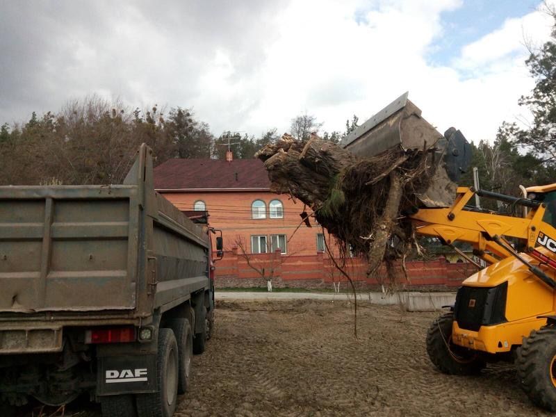 Корчування, Розробка територій, Видалення пнів!