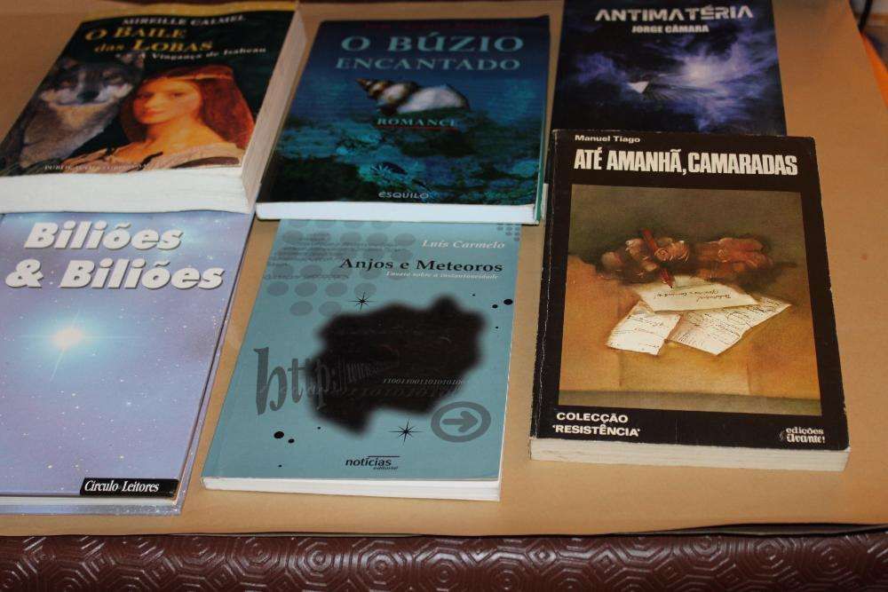 Livros temas diversos