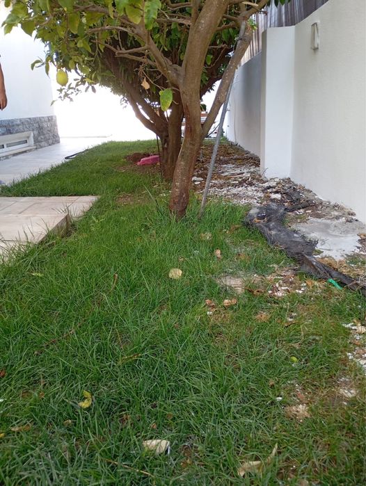Limpeza de Terreno