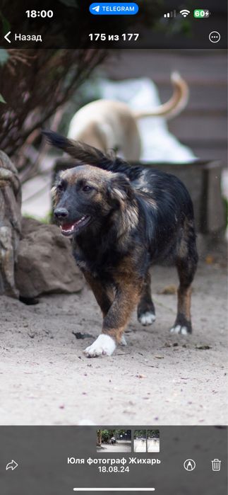 Стерилизованая девочка 11 месяцев Майя