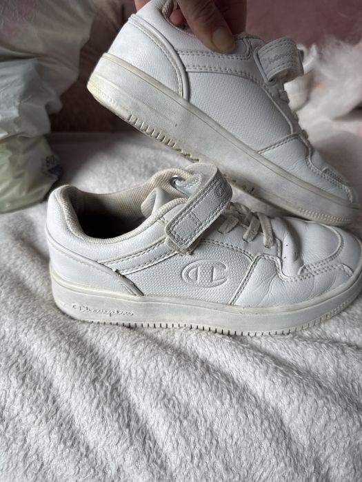 Buty champion 33r