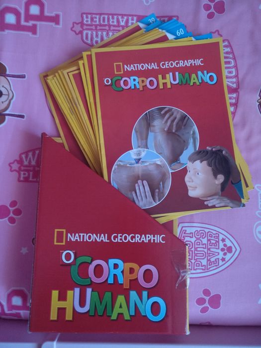 Coleção para criança esqueleto parte 1 mais parte 2 - corpo humano
