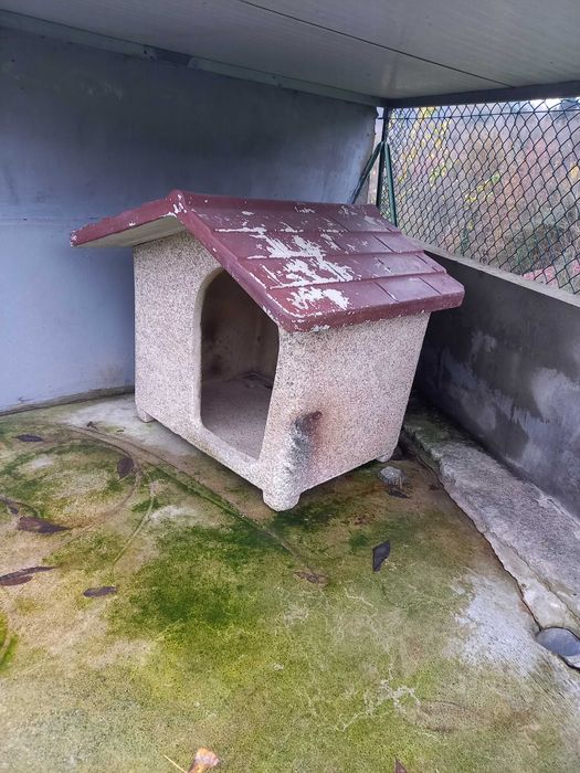 Casota de Cão  (80 cm * 90 cm em betão)
